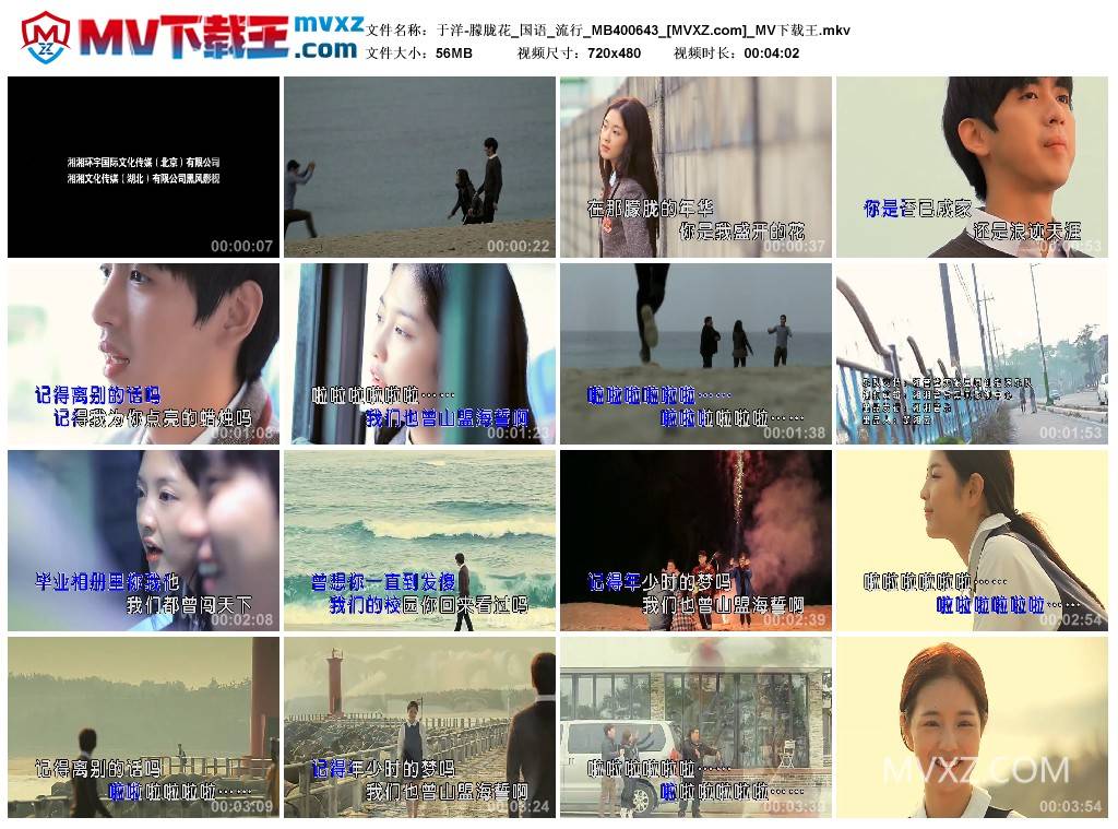 于洋-朦胧花_国语_流行_MB400643